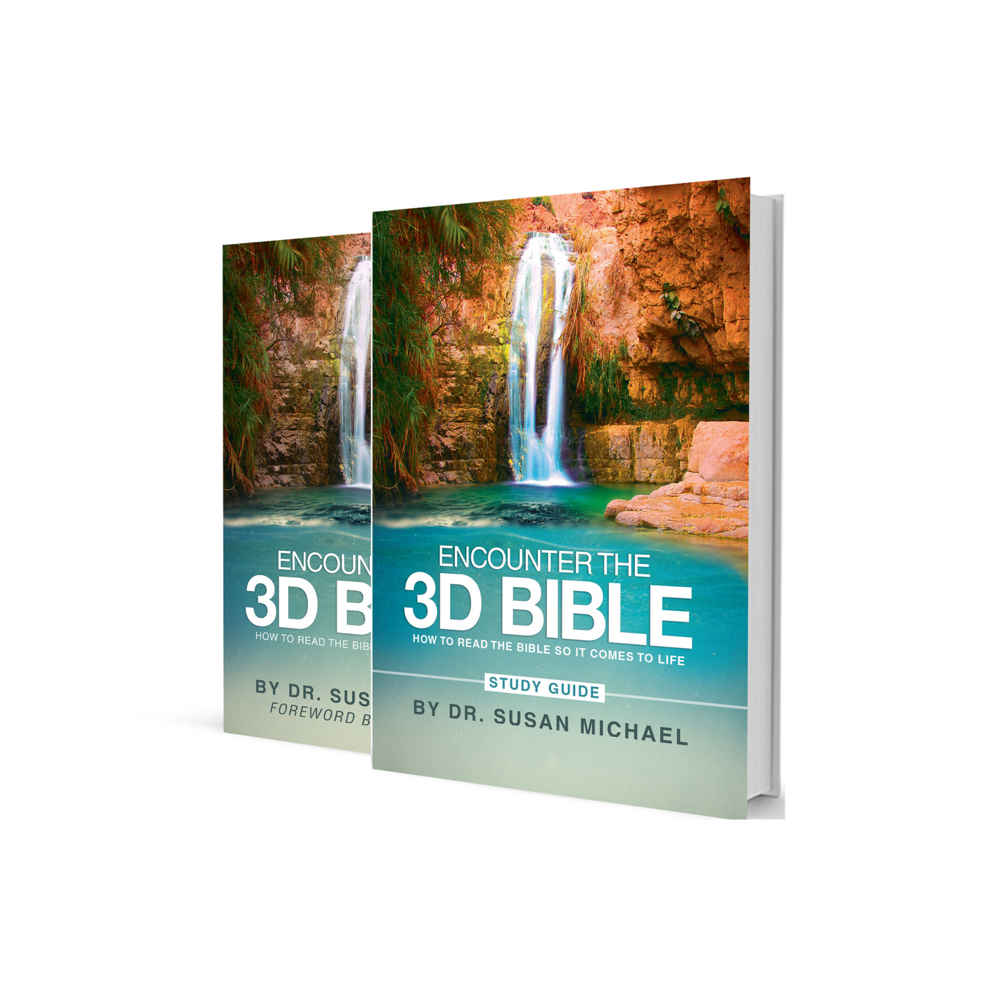Encounter the 3D Bible: How to Read the Bible So It Comes to Life Study Set